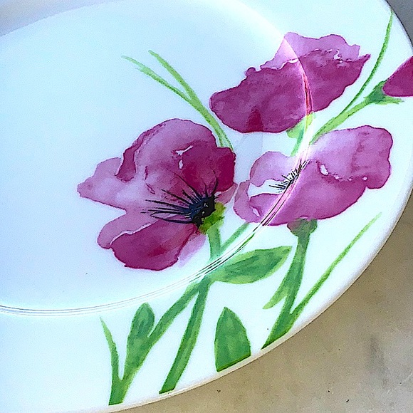 CIROA POPPIES DINNER PLATE FINE BONE CHINA NEW 11 INCH PINK GREEN - Picture 2 of 7